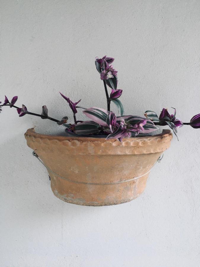 Wabi Sabi